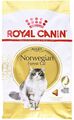 (€ 9,00/kg) Royal Canin Norwegische Waldkatze, Adult Katzenfutter, NFC - 10 kg