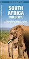 Südafrika Wildtiere: Ein faltbarer Taschenführer für vertraute Tiere