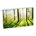 Magnet Heizkörperverkleidung Heizkörperabdeckung Heizung Abdeckung Grün Natur