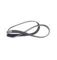 DAYCO 6PK1185 Keilrippenriemen für VW POLO (9N) Polo Schrägheck (6N1) POLO (6N2)