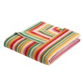 CAWÖ Wohndecke, 150x200cm  - Lifestyle, Streifen, Fleece Mehrfarbig 150x200cm