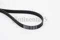 Keilrippenriemen Continental CTAM 6PK1698 für ALPINA AUDI BMW CHEVROLET
