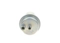BOSCH 0 438 170 040 Druckspeicher, Kraftstoffdruck für Audi Vw