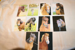10 Pferdepostkarte, AK Pferde, ohne Verlagsangaben  C6
