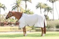 Fliegendecke Fliegenschutzdecke AMIGO Bug Rug Horseware silver/titanium grey