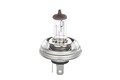 BOSCH Glühlampe Hauptscheinwerfer Pure Light BL 1 987 301 021 für CITROËN 1123 2