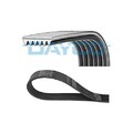 1x Keilrippenriemen DAYCO 6PK2490 passend für AUDI CHRYSLER DODGE VW VAG