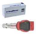BORGWARNER (BERU) ZÜNDSPULE ZÜNDMODUL passend für AUDI A4 A5 A6 A7 A8 Q5 Q7 R8