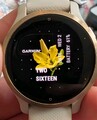Garmin Venu 2S GPS-Smartwatch - Roségold
