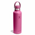 Hydro Flask - 621 ml Standard Mouth Thermosflasche mit Flex Cap reef