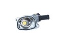 NRF Thermostat für Kühlmittel / Kühlerthermostat 725138