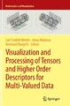 Visualization and Processing of Tensors and Higher Order Descriptors for Multi-V