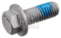 Febi Bilstein 182457 Schraube, Bremssattel für FORD VOLVO Bremsanlage vorne hint