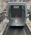 Pet Carrier Bracco Tier-Transportbox
