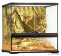 Exo Terra Terrarium aus Glas - Glasterrarium - Grösse: 45 x 45 x 45cm (LxTxH)