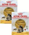 (€ 8,15/kg) Royal Canin Maine Coon 31 Katzenfutter, trocken für Coonis 2 x 10 kg