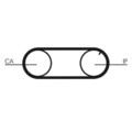 Continental Ctam Ct704Wp2Pro Wasserpumpe + Zahnriemen Satz für Audi 1978 - 1994