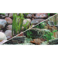 Hobby Fotorückwand-Zuschnitt Steine 1 / 2 60 x 30 cm Rückwandfolie f. Aquarien