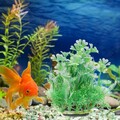  2 stücke Aquarium Künstliches Wasser Gras Einzigartige Simulation Wasserpflanze