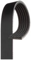 Gates 6PK1025 Keilrippenriemen für AUDI  passend für NISSAN SEAT SKODA VW