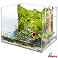 (59,80€/Stk) diversa Paludarium 40x30x30cm, Fronthöhe: 10cm, 4mm Optiwhite-Glas/