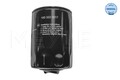 MEYLE Ölfilter 100 322 0017 Anschraubfilter für VW SEAT EXEO AUDI A4 SKODA A6 ST