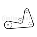 CONTINENTAL CTAM Keilrippenriemen Spannrolle Umlenkrolle 6PK1130K1