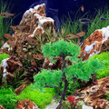  Aquatische Dekoration Künstliche Pflanzen Fischtank Aquarium Gefälschte
