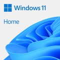 Microsoft Windows 11 Home 64 bit Software