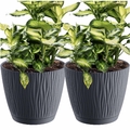 2x Blumentopf Pflanzentopf Übertopf Mit Untersetzer Rund Blumenkübel 16,8 cm