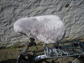 Lammfell  Fahrradsattel Bezug,22x27cm,Merinolamm, drei Farben zur Auswahl