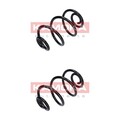 2X KAMOKA FAHRWERKSFEDERN HINTEN PASSEND FÜR AUDI A6 VW PASSAT | 2120113
