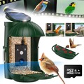 Vogelhäuschen Vogelfutterhaus Futterhaus Vogelfutterstelle Solarpanel mit Kamera