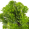  4 Pack Dekoration Aquarienlandschaft Künstliche Bäume Für Aquarium