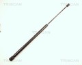 Gasfeder Motorhaube TRISCAN 8710 29111 für SEAT LEON 1M1 2 1M2 16V 20V 20VT SDI