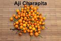 Aji Charapita 10 Samen wilder Chili aus Peru teuerste Chili der Welt