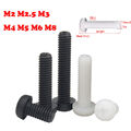 M2 M2.5 M3 M4~M8 Nylon Phillips Linsenschraube Kreuzschlitz Kunststoffschrauben