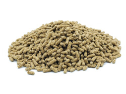 Schildkröten Sticks 0,2 - 10KG Futter-Tiere Reptilienfutter Wasserschildkröten
