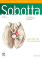 Sobotta, Atlas der Anatomie des Menschen Band 3 Kopf, Hals und Neuroanatomie