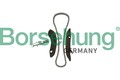 Borsehung B18852 Steuerkettensatz für BMW MINI
