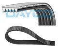 Keilriemen,mehrrippig 5PK898EE DAYCO für HYUNDAI i10 II i20 I i20 II i10 I