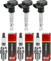 3x TOPRAN Zündspule + CHAMPION Zündkerze für VW Polo 9N_ 1.4 16V Skoda Fabia I