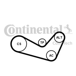 CONTINENTAL CTAM Keilrippenriemensatz 6PK1080K1 für VW AUDI A2 POLO BORA GOLF 6R