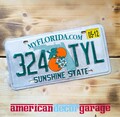 USA Nummernschild * US Kennzeichen * license plate * Florida sunshine State *