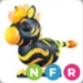 Flaming Zebra Neon Fly Ride Adopt Me Pet Roblox