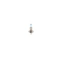Glühlampe Fernscheinwerfer Bosch 1987302015 Xenon Blue Ws für Alfa Romeo Audi VW