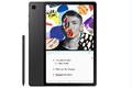 Samsung Galaxy Tab S6 Lite LTE (2022 Edition) Oxford Gray, #35880009