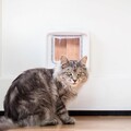 SUREFEED Mikrochipgest. DualScan Katzenklappe - weiß