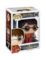 Harry Potter - Harry Potter Quidditch (08) Funko Pop! Movies Vinyl Figur 9 cm