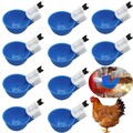 10X Automatischer Hühner-Wasserbecher, Farm Coop, Geflügel-Tränke, Wasserspender